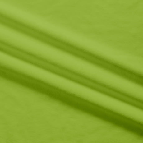 QT Fabrics - SIlky Minky - Solid Fern Green