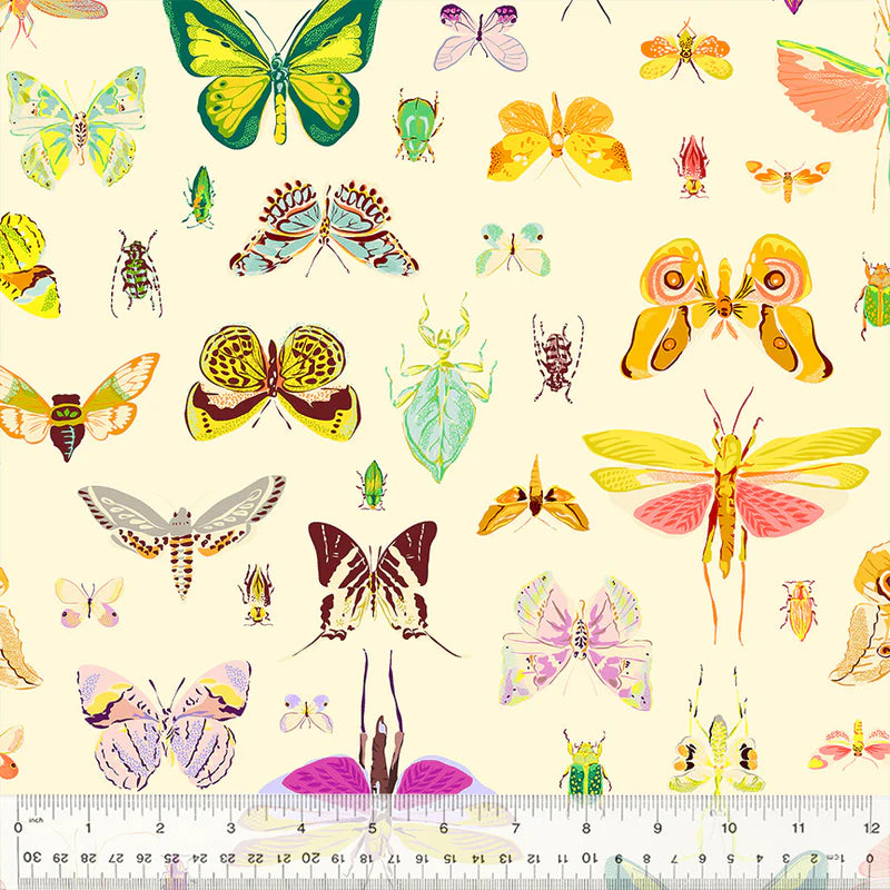 Windham Fabrics - Insectarium Tamara Kate - butterflies Light