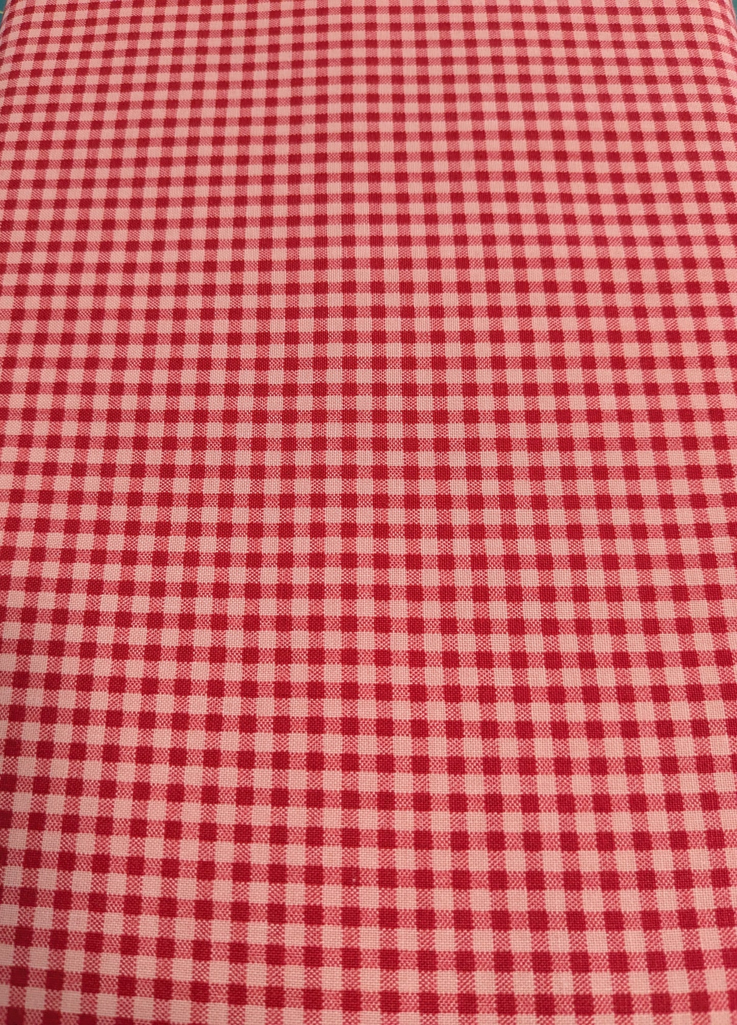 Riley Blake - Prairie by Lori Holt - Coral checkered