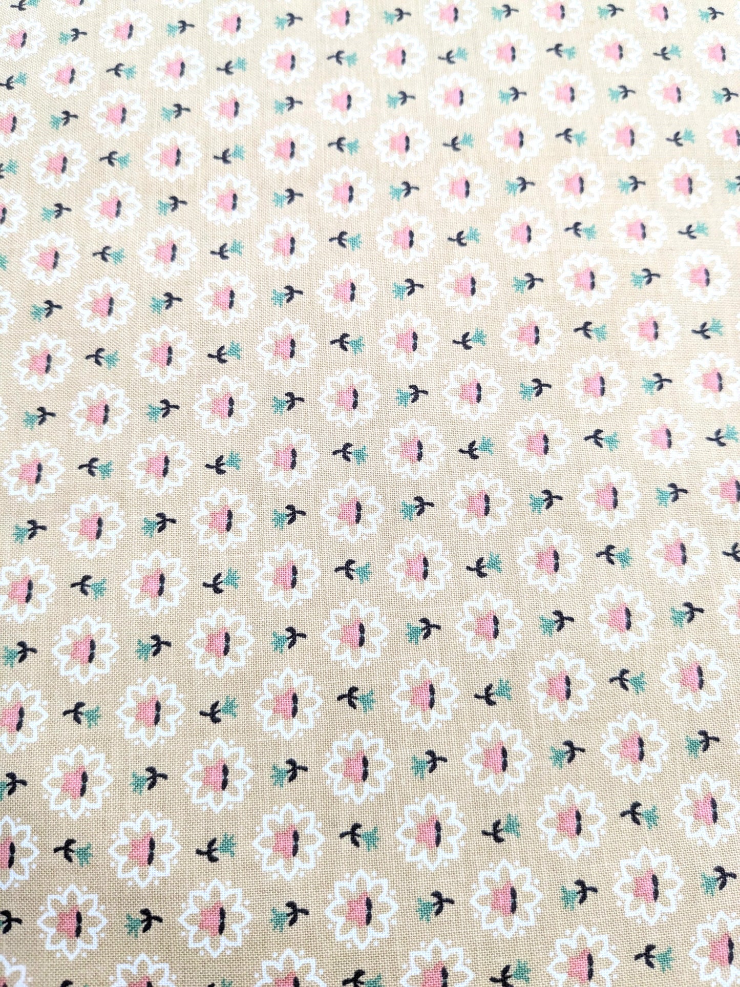 Riley Blake - Prairie by Lori Holt -Tea Dye -C12302