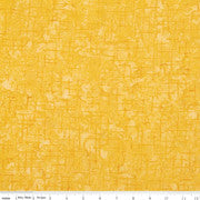 Expressions - Riley Blake - Batiks - Orange Smoothie