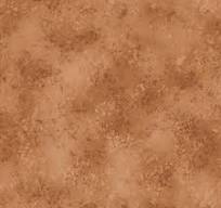 QT Fabrics - The Wonder of Nature - Rapture Acorn