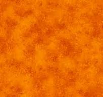 QT Fabrics - The Wonder of Nature - Rapture Pumpkin