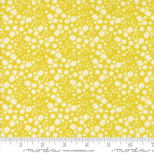Moda - Raspberry Summer - by Sherri & Chelsi 3769316