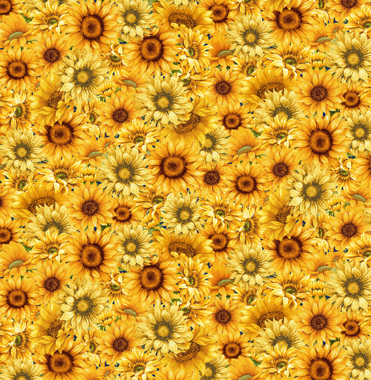 C&C Fabrics - Timeless Treasures - Sunflowers