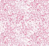 Riley Blake - Reef - Pink Fish