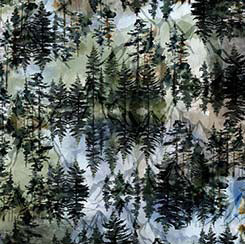 QT Fabrics - The Wonder of Nature - Wide Back