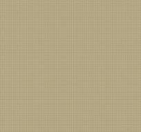 Windham Fabrics - Nature Stuy 2.0 - Bean