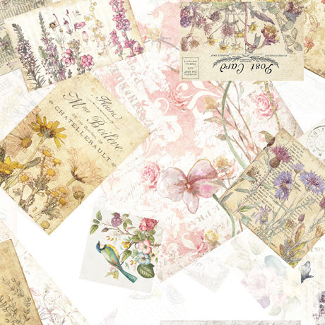 QT Fabrics - Birdsong - Bird Collage