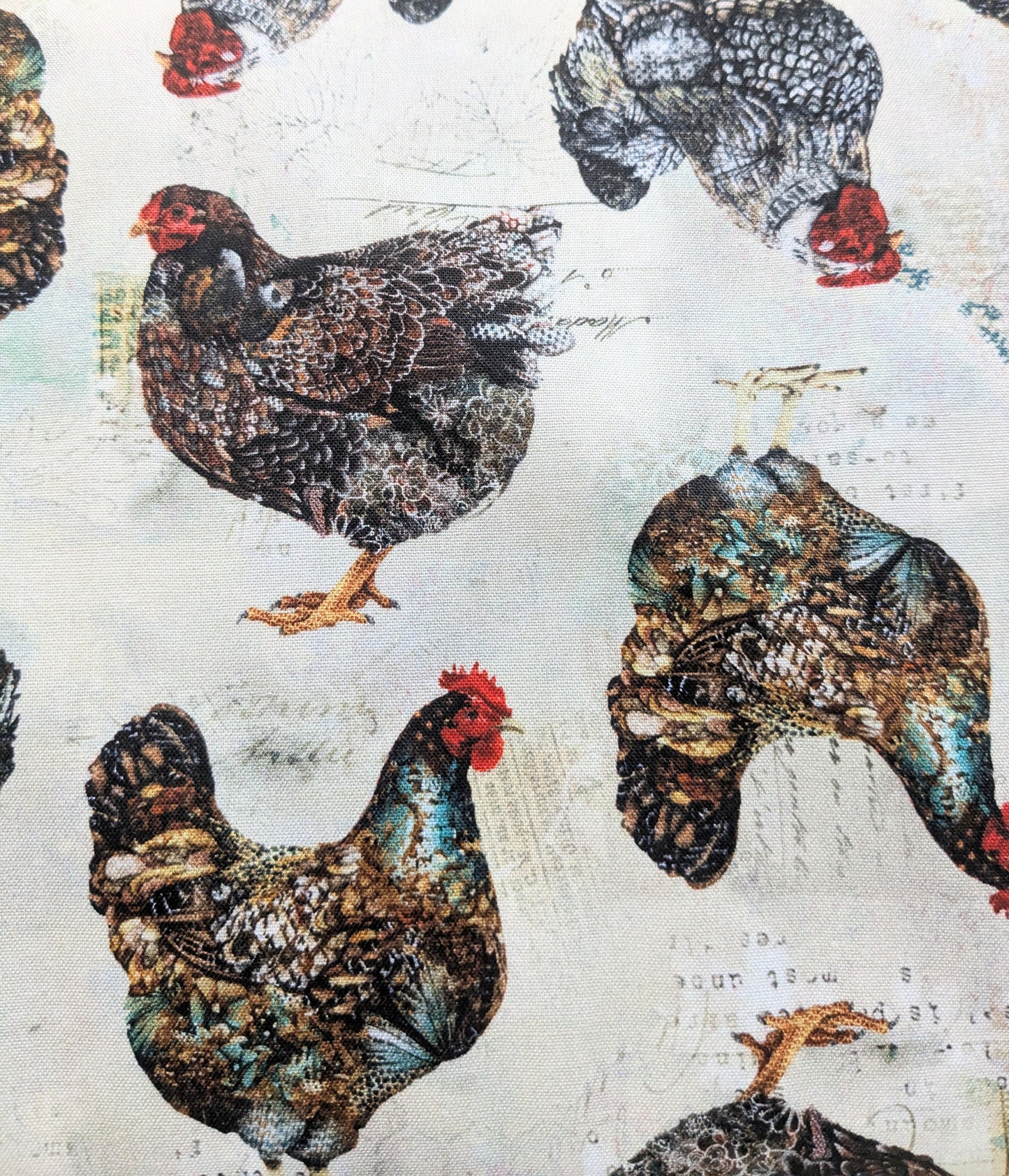 Windham - Boho Chicks, Rustic Chickens Multi - 54561D-2