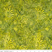 Expressions - Riley Blake - Batiks - Citrus Green