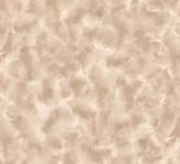QT Fabrics - Color Dance - Tan/Beige