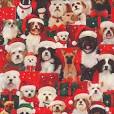 QT Fabrics - Gotta Have It Dogs