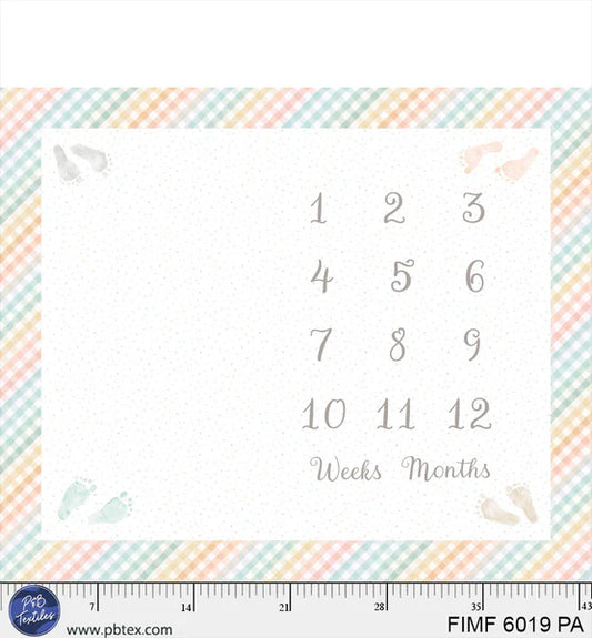 P&B Textiles - Flannel -  First Impressions - How old am I - Panel