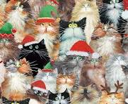 Windham Fabrics - meowy Christmas - cat toss