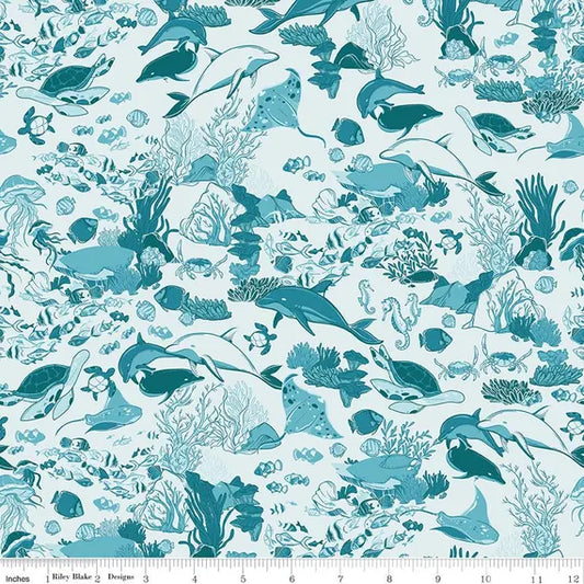Riley Blake -  Reef -Ocean Toss  - Powder Blue
