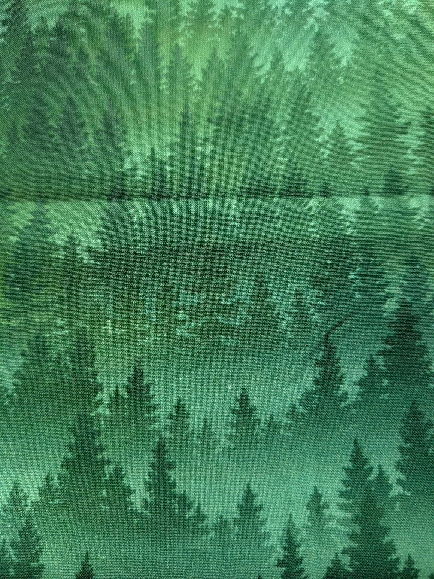 APNWSH - Green Forest 2026