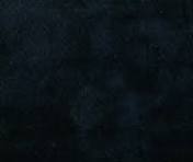 Windham Fabrics - Palette - Vine Black