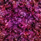 QT Fabrics - Potpourri Magenta