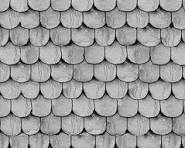 Riley Blake - Pumpkin Patch - Raise the Roof - Gray