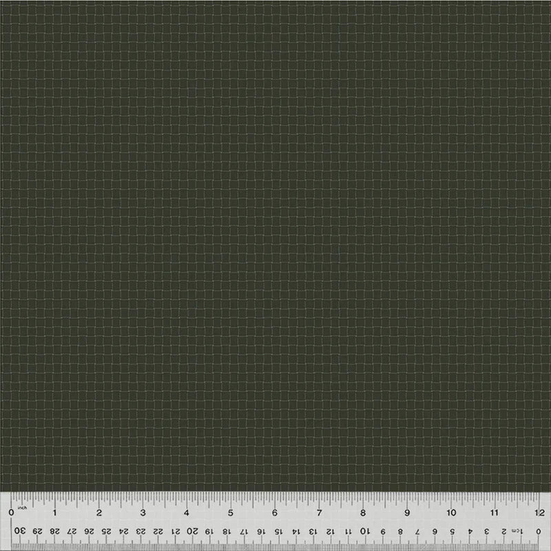 Windham Fabrics - Nature Stuy 2.0 - Black