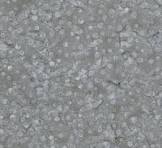 Expressions - Riley Blake - Batiks -   Gray & Golden Arabella - Pewter