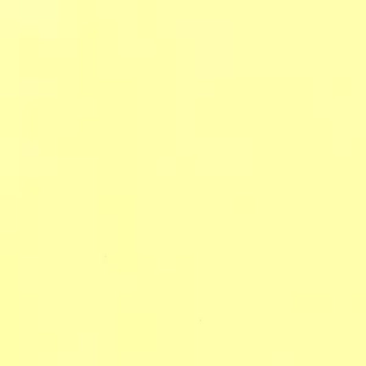 Michael Miller - Solid - Yellow